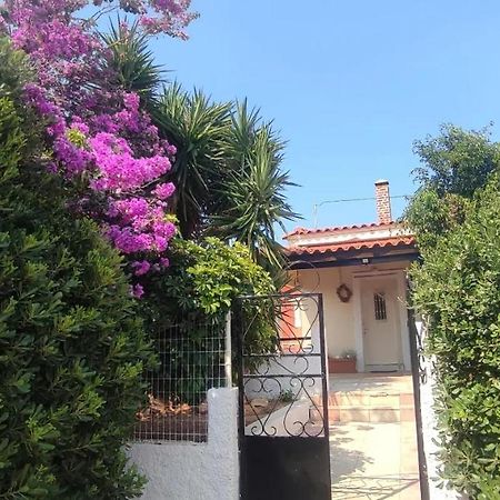 Olive Grove Cottage Skalani Knosos Luaran gambar