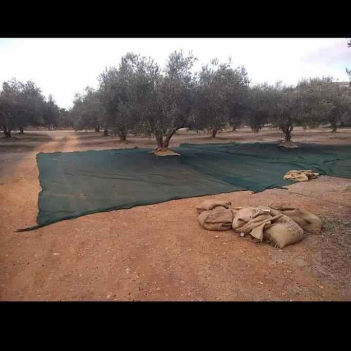 Olive Grove Cottage Skalani Knosos Luaran gambar