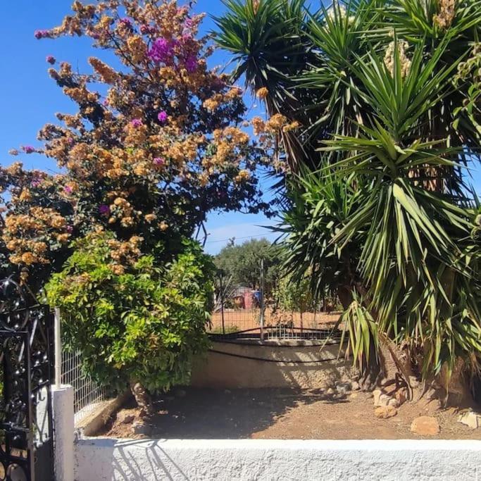 Olive Grove Cottage Skalani Knosos Luaran gambar