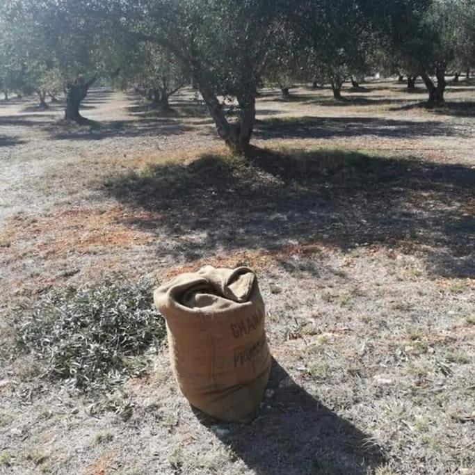 Olive Grove Cottage Skalani Knosos Luaran gambar