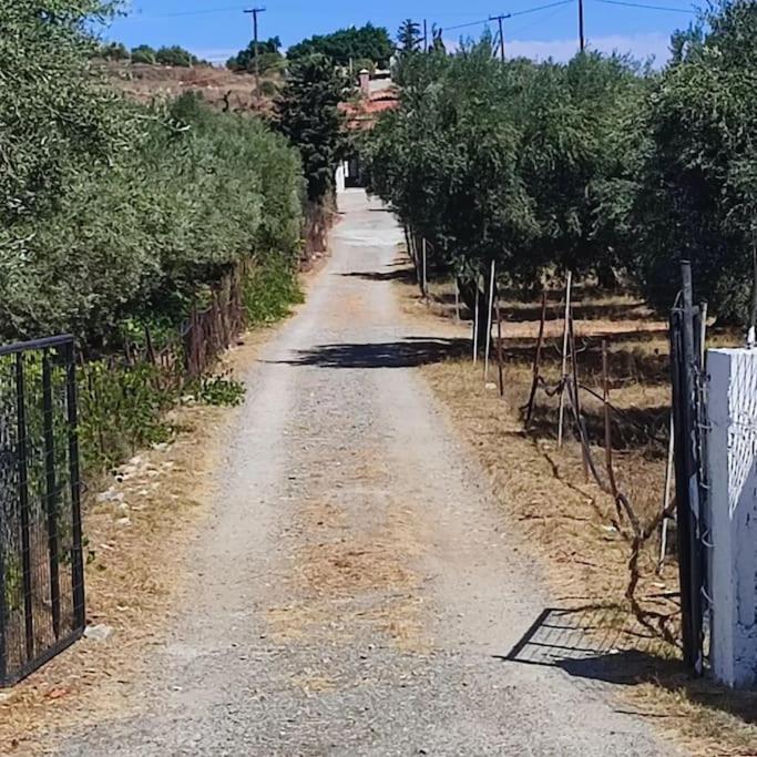 Olive Grove Cottage Skalani Knosos Luaran gambar