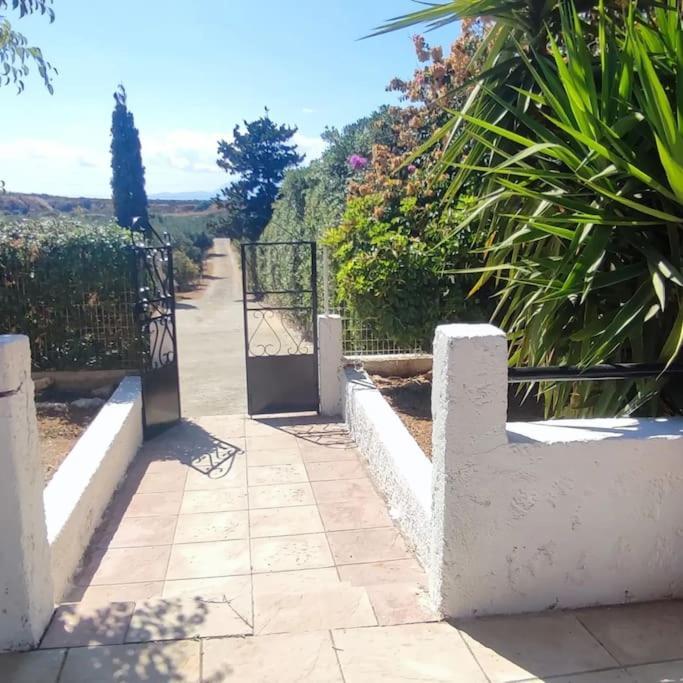 Olive Grove Cottage Skalani Knosos Luaran gambar