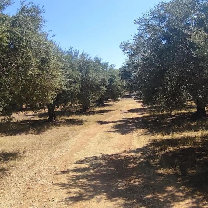 Olive Grove Cottage Skalani Knosos Luaran gambar