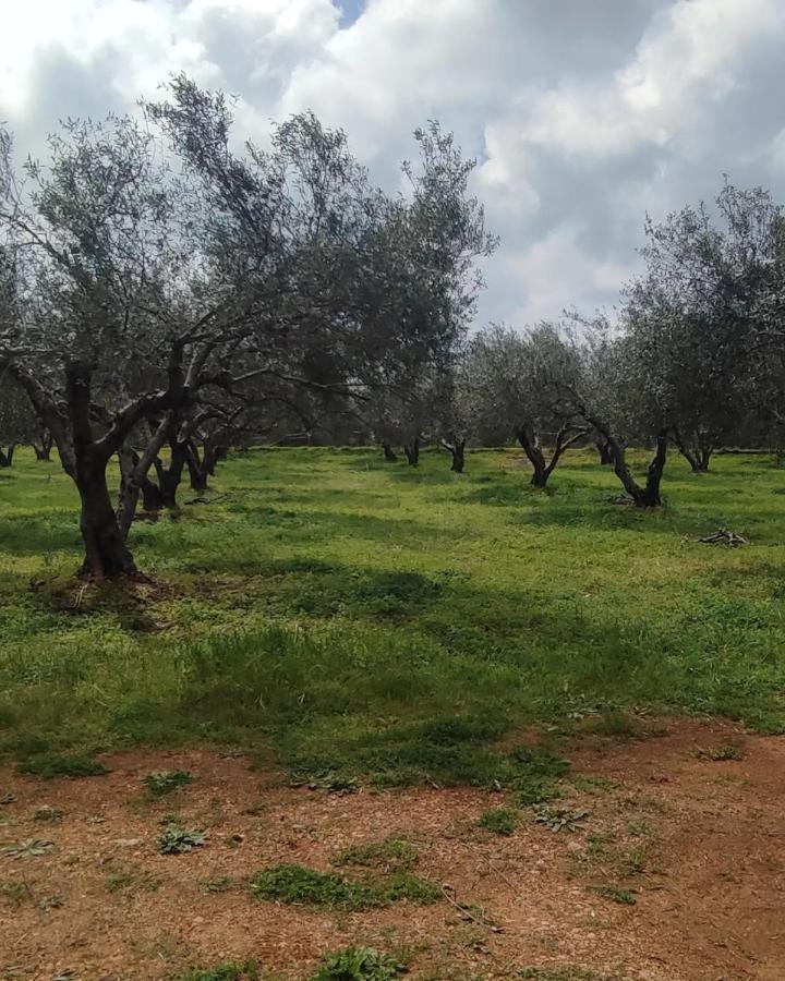 Olive Grove Cottage Skalani Knosos Luaran gambar