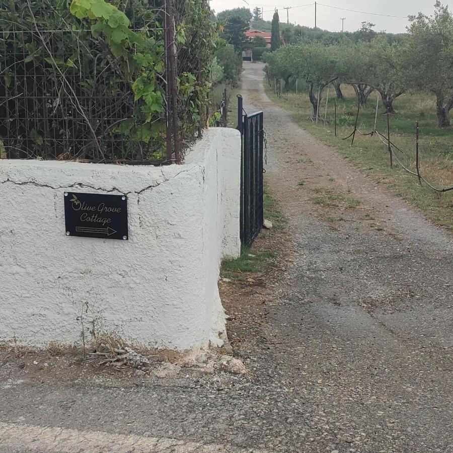 Olive Grove Cottage Skalani Knosos Luaran gambar