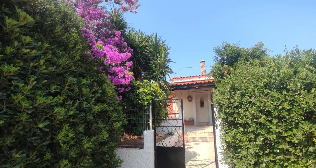 Olive Grove Cottage Skalani Knosos Luaran gambar