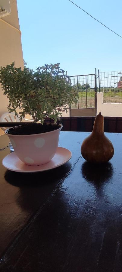 Olive Grove Cottage Skalani Knosos Luaran gambar
